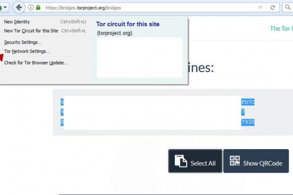 Darknet как войти