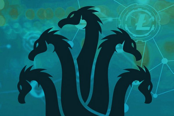 Kraken 20at net